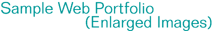Sample Web Portfolio  (Enlarged Images) - Graphic